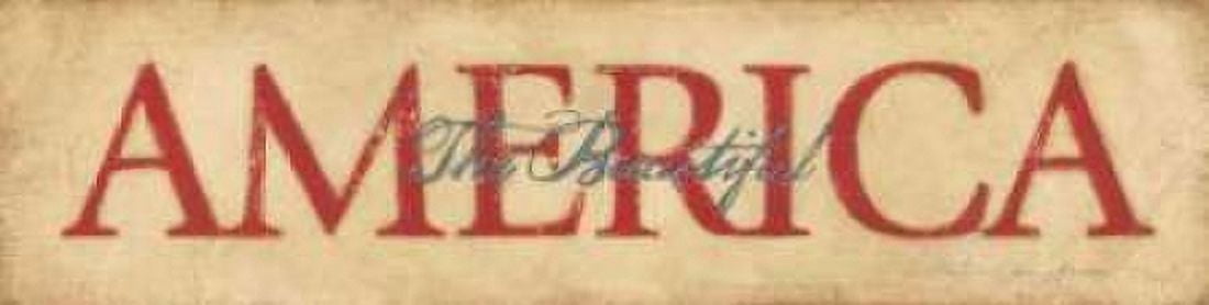 America the Beautiful Canvas Art - Stephanie Marrott (8 x 24)