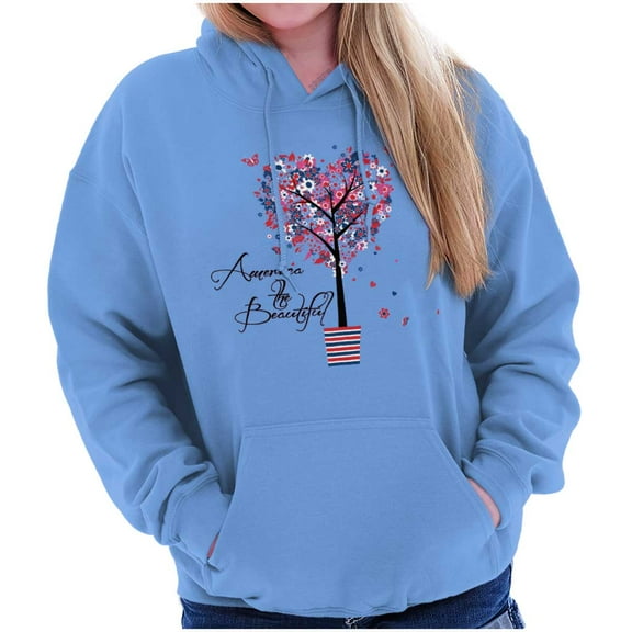 America the Beautiful Cute Patriotic Hoodie Sweatshirt Women Brisco Brands L