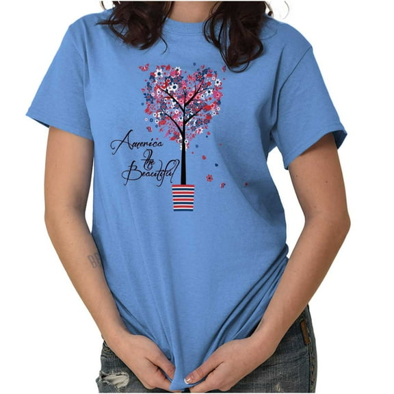 America the Beautiful Cute Patriotic Women's Graphic T Shirt Tees Brisco Brands S
