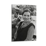 American Activist in The Civil Rights Movement Rosa Parks Retro Poster Picture Print Canvas ...