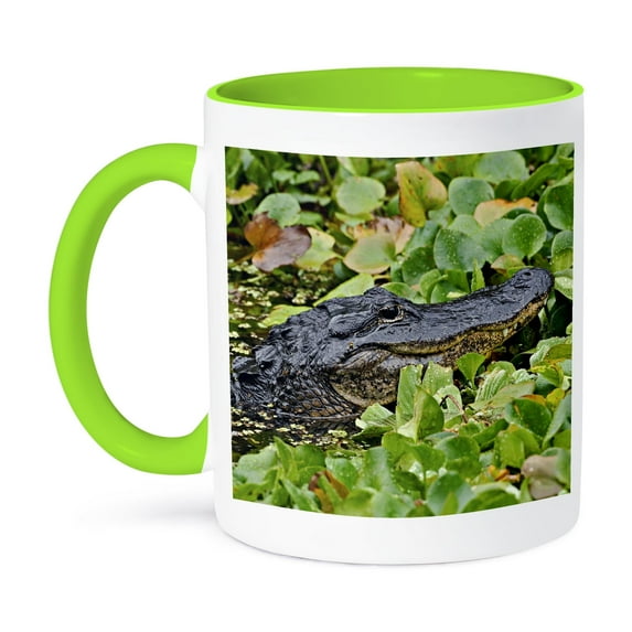 American Alligator, Corscrew Swamp Sanctuary, Florida - Us10 Aje0179 - Adam Jones, 15oz Two-Tone Green Mug