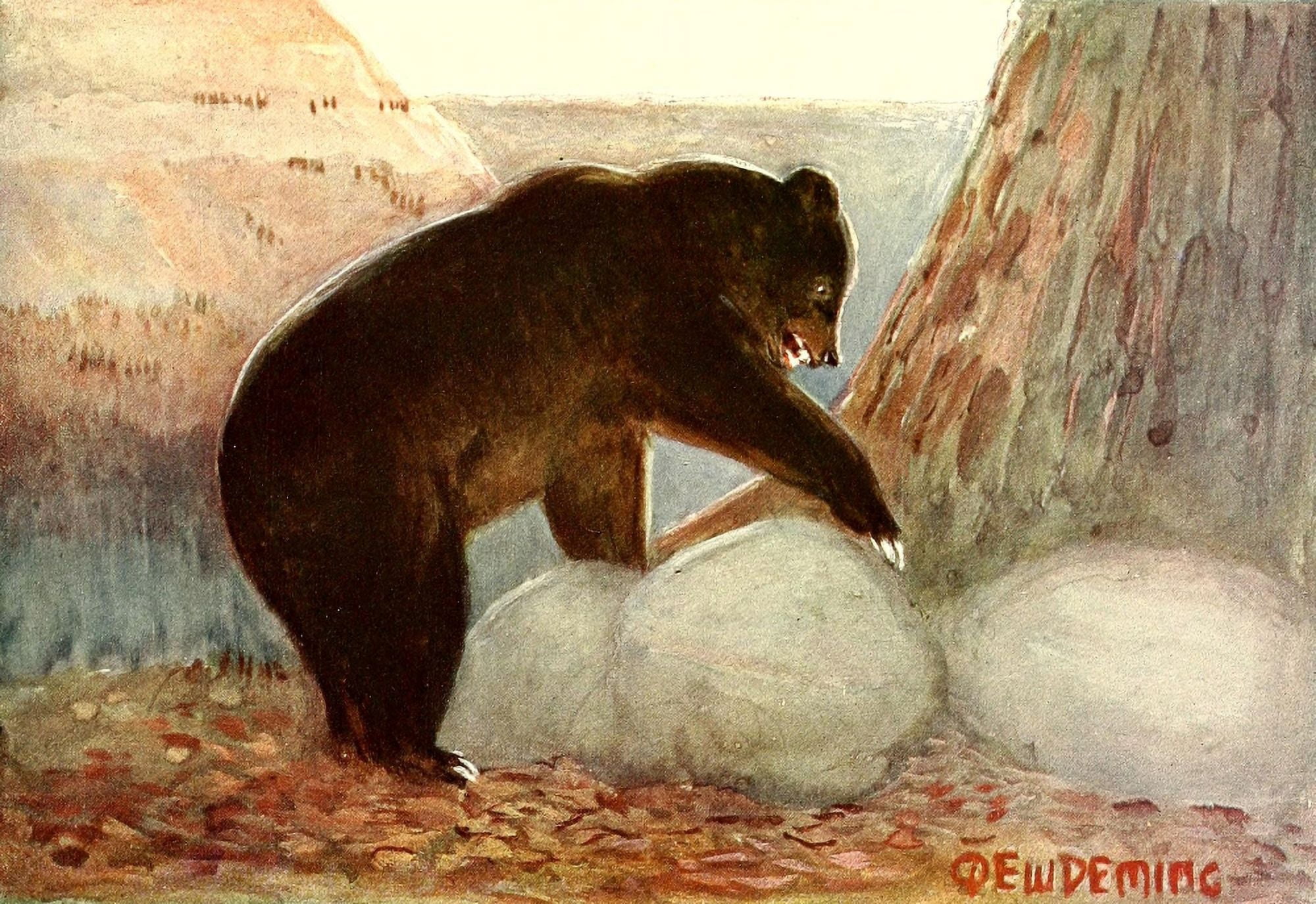 American Animal Life 1916 Grizzly Bear Canvas Art - EW Deming (24 x 36)