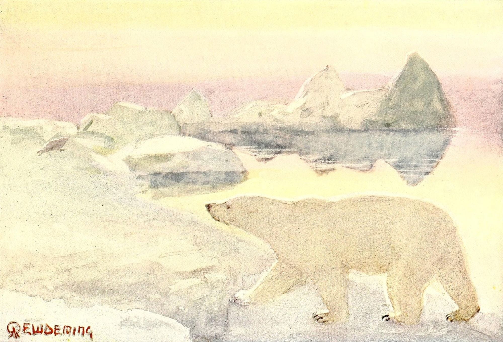 American Animal Life 1916 Polar Bear Canvas Art - EW Deming (18 x 24)