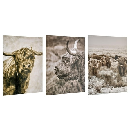 American Art Decor Highland Cow 11" x 14" 3-Piece Print Set