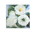 thumbnail image 1 of American Artist Georgia O'Keeffe Jimson Weed Poster Posters Art Print Wall Photo Paint Poster Hanging Picture Family Bedroom Decor Gift 20x20inch(50x50cm), 1 of 5