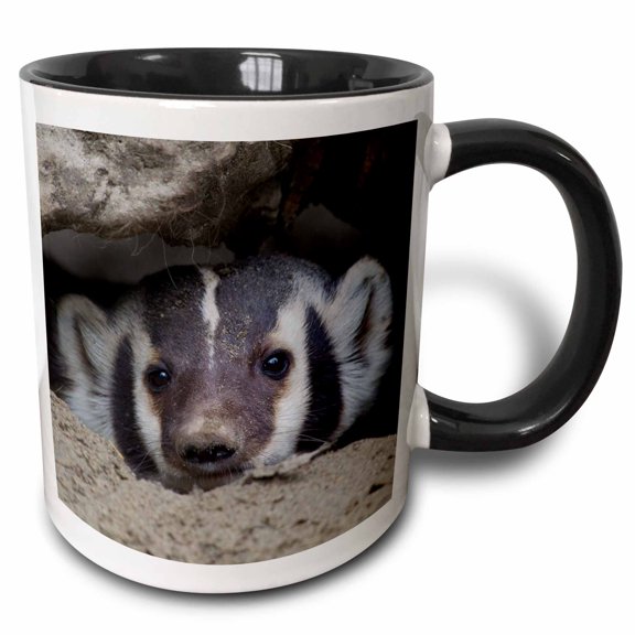 3drose, American Badger Peeking Out of Den, 11oz Two-tone Black Mug