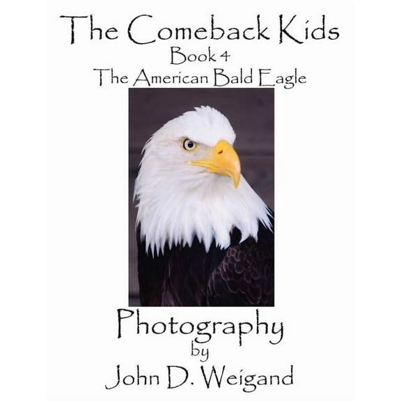 The Comeback Kids, Book 4, The American Bald Eagle, (Paperback)