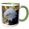 thumbnail image 1 of 3drose, American Bald Eagle Left Profile View Photo, 15oz Two-tone Green Mug, 1 of 6