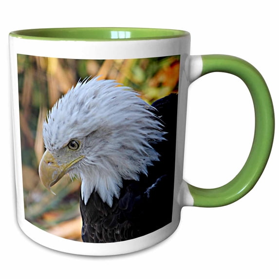 3drose, American Bald Eagle Left Profile View Photo, 15oz Two-tone Green Mug