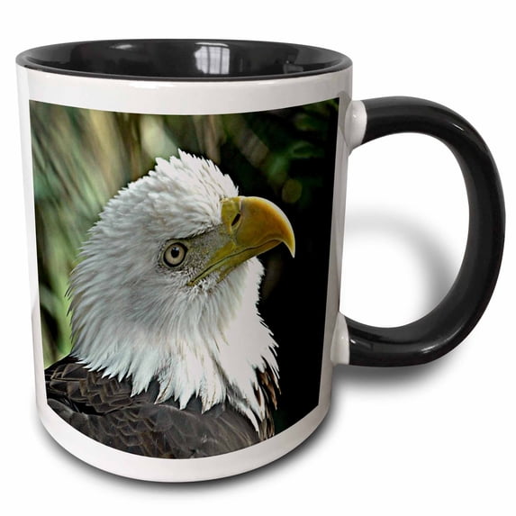 3drose, American Bald Eagle Right Profile View Photo, 15oz Two-tone Black Mug