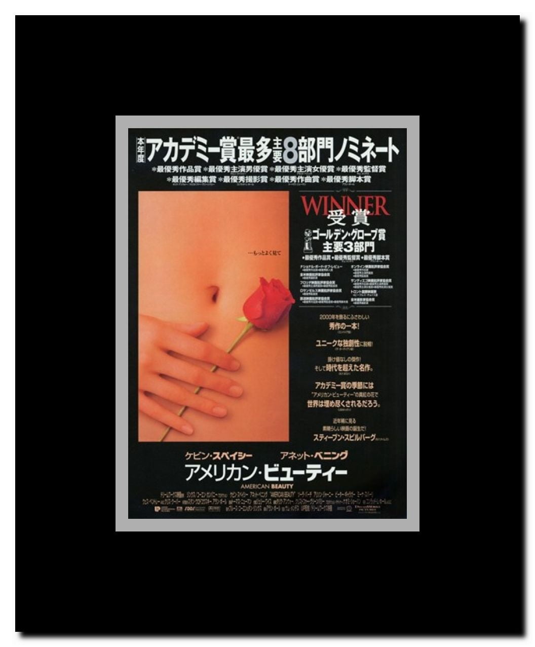 American Beauty Framed Movie Poster