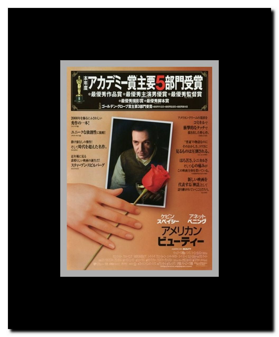 American Beauty Framed Movie Poster