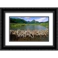 thumbnail image 1 of American Beaver dam, Silver Horn Creek, Wood-Tikchik State Park, Alaska 2x Matted 24x18 Black Ornate Framed Art Print by Ellis, Gerry, 1 of 2
