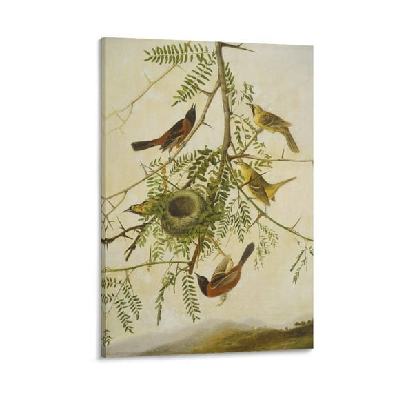 American Bird Artists John James Audubon Orchard Oriole Poster Poster Cool Artworks Painting Wall Art Canvas Prints Hanging Picture Home Decor Posters Gift 12x18inch(30x45cm)