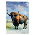 thumbnail image 1 of American Bison House Flag 28 in x 40 in, 1 of 7