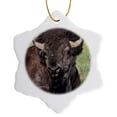 thumbnail image 1 of 3drose, American Bison, Theodore Roosevelt Np, North Dakota - Us35 Ldi0014 - Larry Ditto, 3 inch Snowflake Porcelain Ornament, 1 of 7