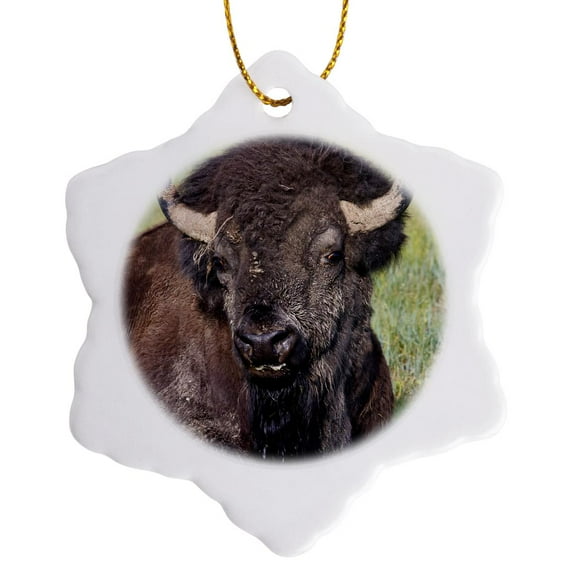 3drose, American Bison, Theodore Roosevelt Np, North Dakota - Us35 Ldi0014 - Larry Ditto, 3 inch Snowflake Porcelain Ornament
