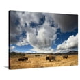 thumbnail image 1 of American Bison in Yellowstone National Park, Wyoming, Animals Scenic Stretched Canvas Wall Art Sold by Art.Com, 1 of 5