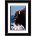 thumbnail image 1 of American Bison portrait in snow, North America 2x Matted 18x24 Black Ornate Framed Art Print by Fitzharris, Tim, 1 of 2
