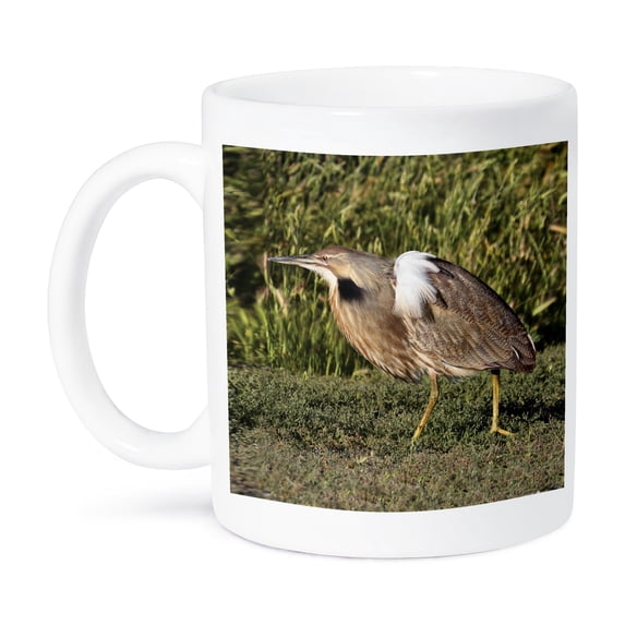 3dRose, American Bittern Botaurus lentiginosus Bird Photo Animal Photography, 11oz Mug