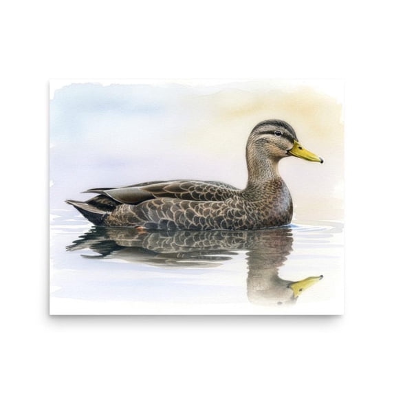 American Black Duck Coastal Waterfowl Museum Quality Matte Poster ...