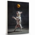 thumbnail image 1 of American Bulldog Cute Dog Volleyball Poster Canvas – Retro American Bulldog Dog Batter in Action With Volleyball for Themed Living Room, 1 of 5