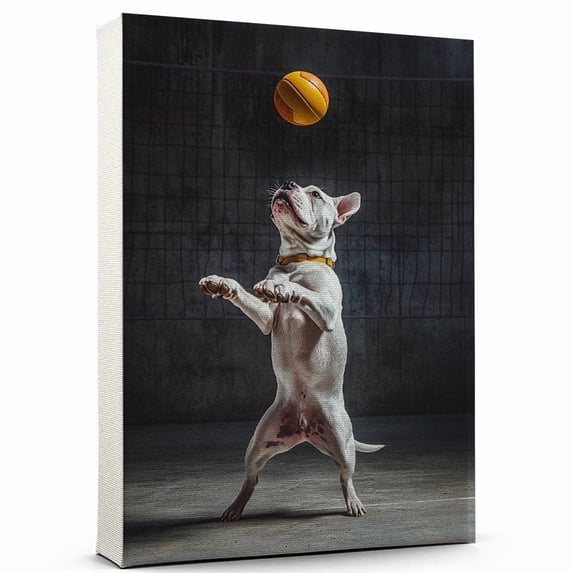 American Bulldog Cute Dog Volleyball Poster Canvas – Retro American Bulldog Dog Batter in Action With Volleyball for Themed Living Room