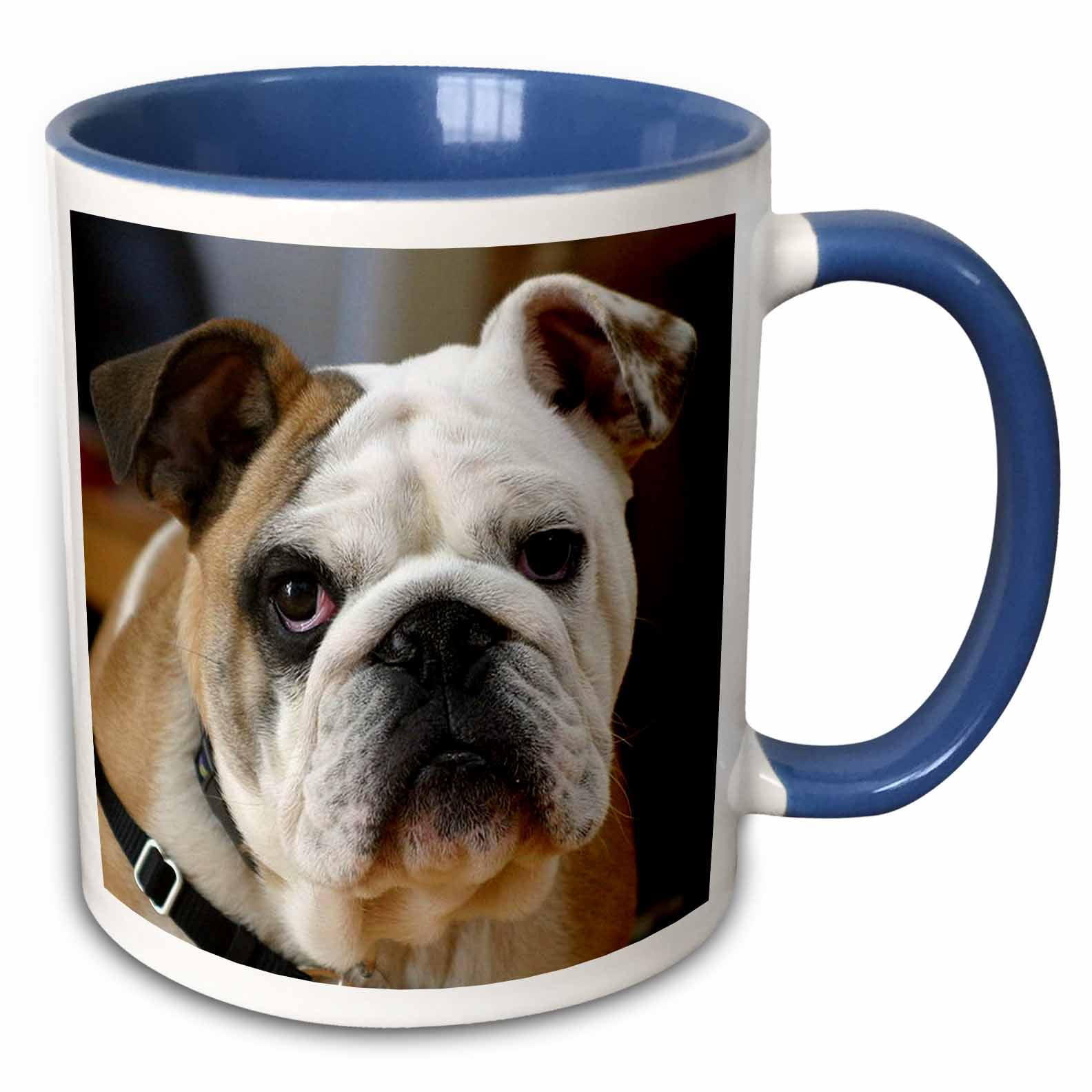 best single cup coffee maker Moccamaster Cup-One Coffee Maker Off-White