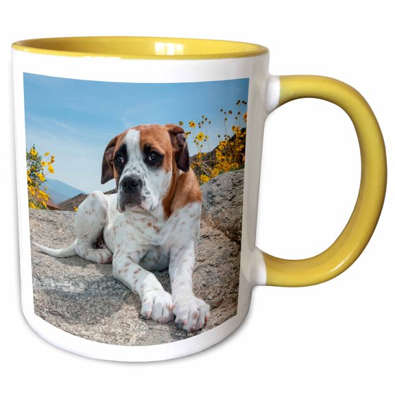 3drose, American Bulldog Puppy Rests on a Boulder, Mr, 11oz Two-tone Yellow Mug