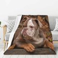 American Bulldog Puppy Soft Sofa Throw Blanket Warm Flannel Fleece