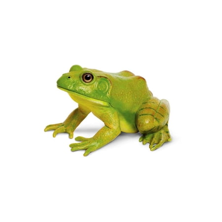Safari Ltd. American Bullfrog Figurine - Realistic 4.75" Model Figure - Educational Toy for Boys, Girls, and Kids Ages 18M+