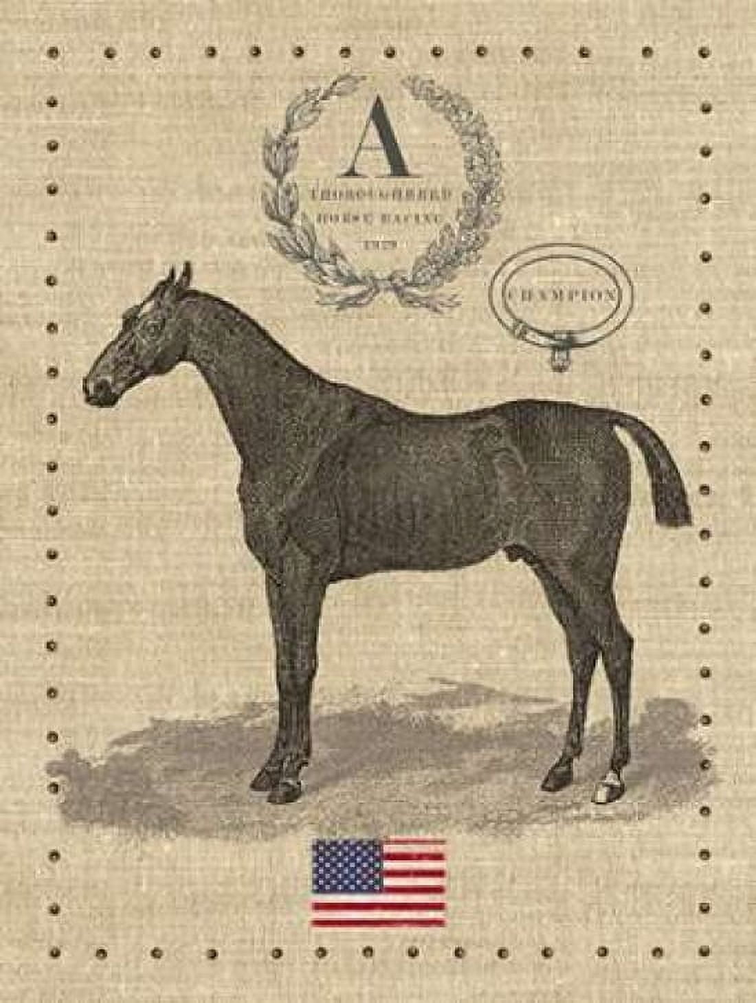 American Champion Canvas Art - Sam Appleman (22 x 28)