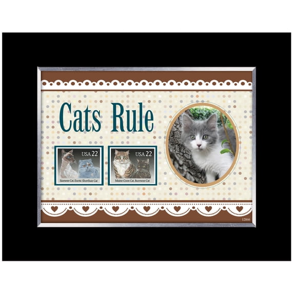 American Coin Treasures Cats Rule Photo Frame
