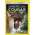 thumbnail image 1 of American Cougar (DVD), National Geographic, Documentary, 1 of 1