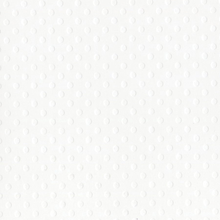 Bazzill Dotted Swiss Cardstock 12"X12"-Salt