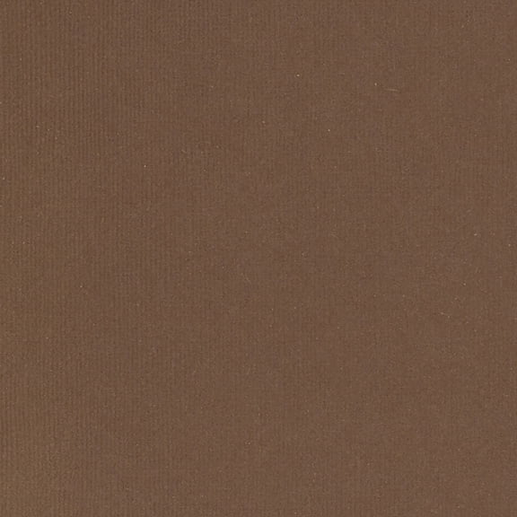 American Crafts 80lb Textured Cardstock 12"X12"-Chestnut