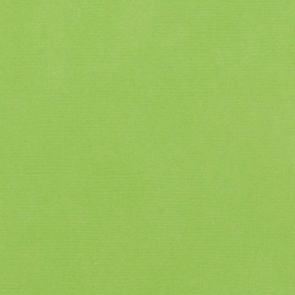 American Crafts 80lb Textured Cardstock 12"X12"-Cricket