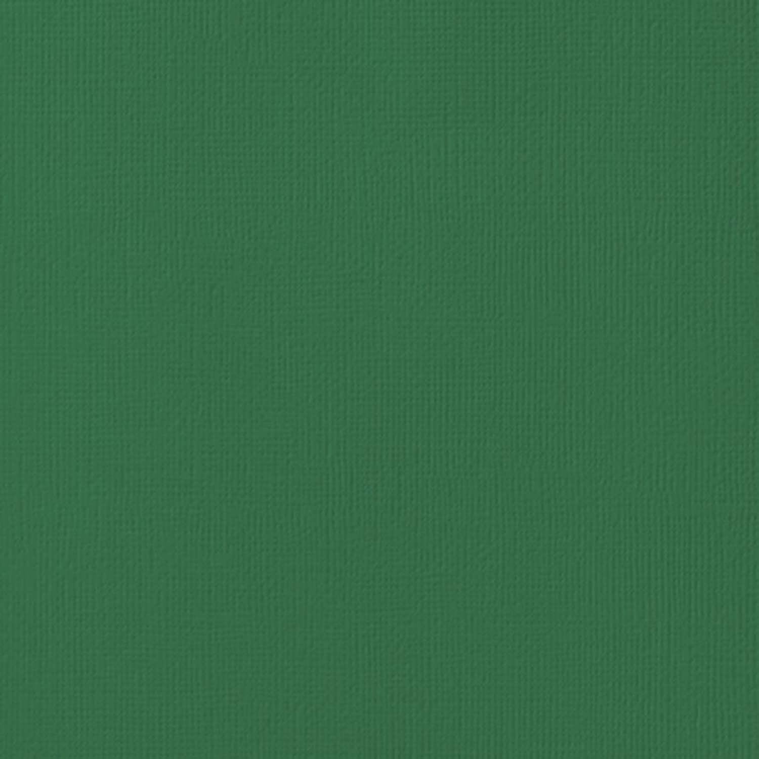 American Crafts 80lb Textured Cardstock 12"X12"-Evergreen