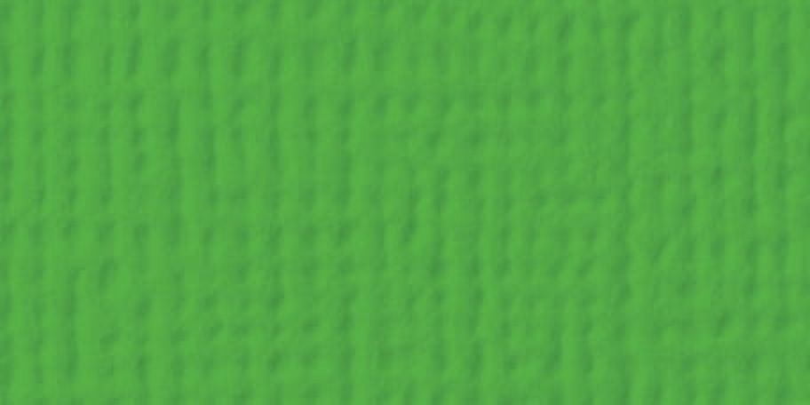 American Crafts 80lb Textured Cardstock 12"X12"-Grass