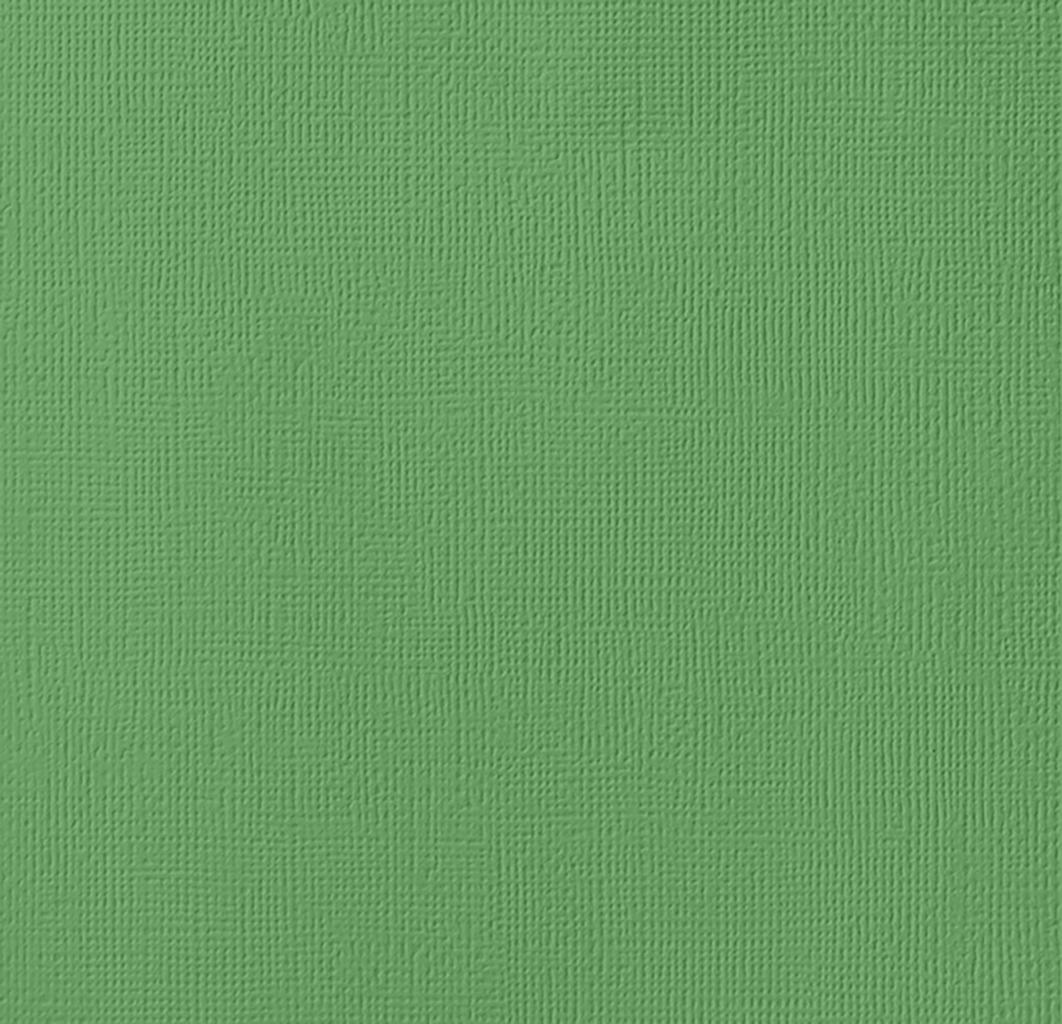 American Crafts 80lb Textured Cardstock 12"X12"-Moss
