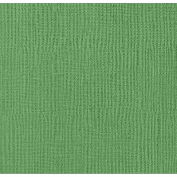 American Crafts 80lb Textured Cardstock 12"X12"-Moss