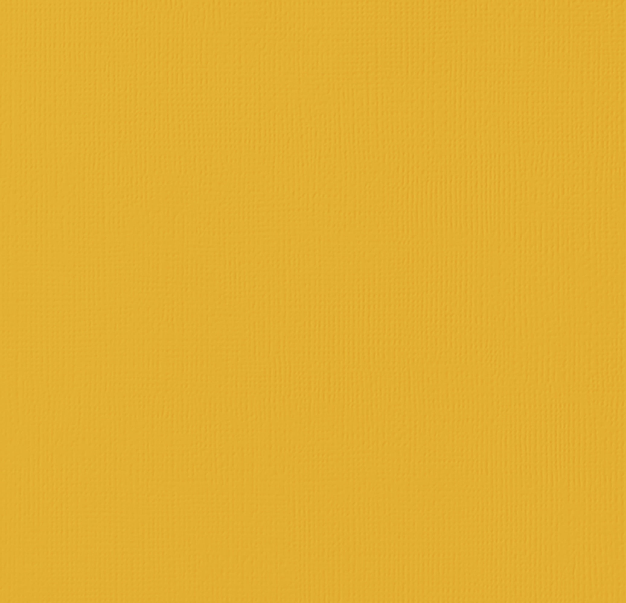 American Crafts AM710-36 American Crafts Textured Cardstock 12 x 12 Inch  - Case of  25