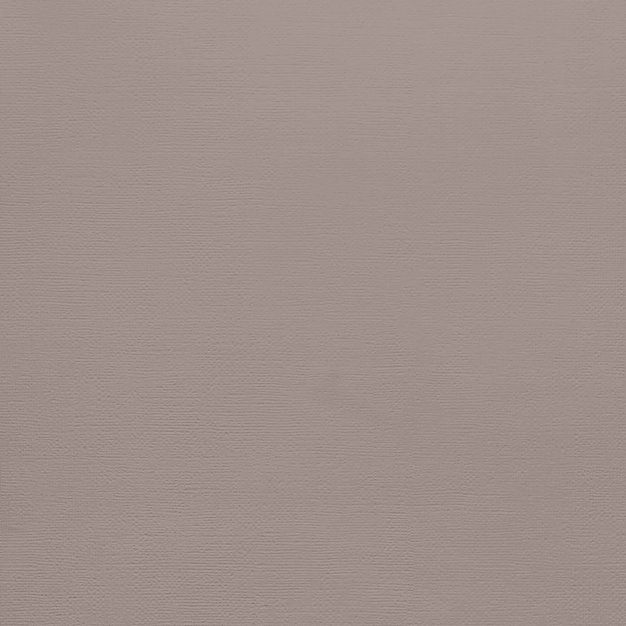 American Crafts 80lb Textured Cardstock 12"X12"-Nickel