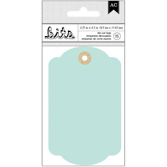 American Crafts Cardstock Tags, 2.75" x 4.5", 10pk