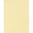 thumbnail image 1 of American Crafts Textured Cardstock 8.5"X11"-Straw, Pk 25, American Crafts, 1 of 1