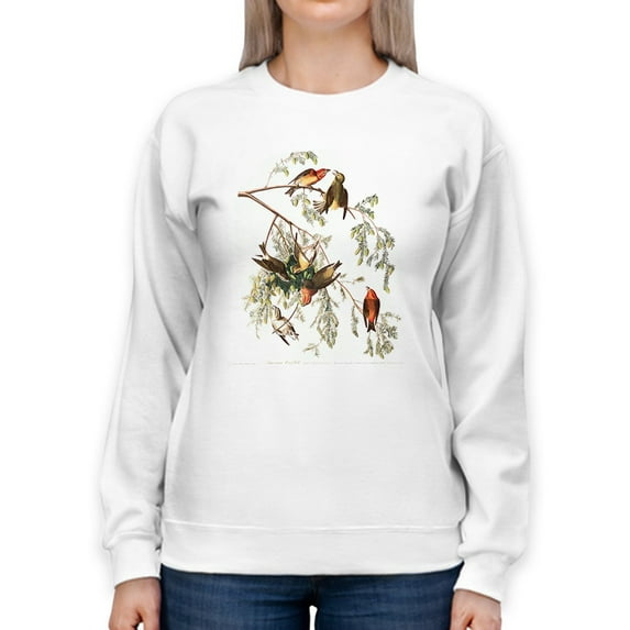 American Crossbills Sweatshirt Women -John James Audubon Designs, Female 4X-Large