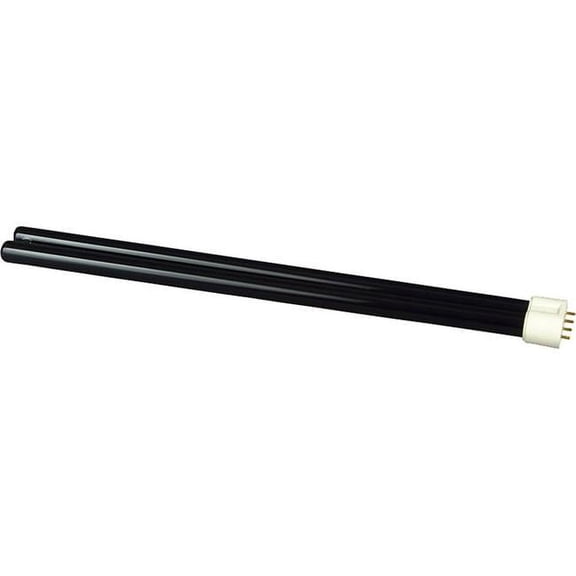 ADJ Studio Lamp