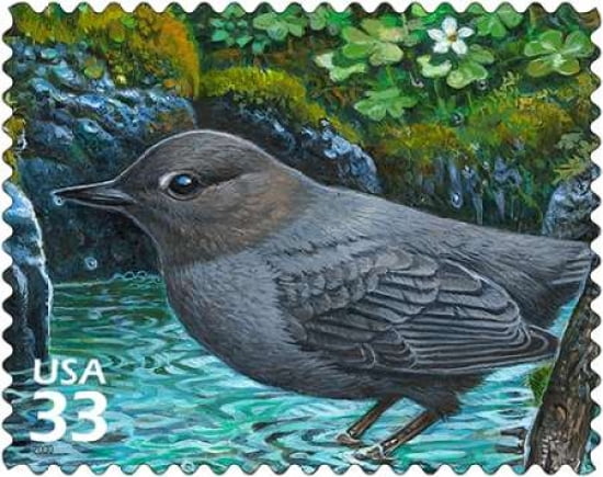 American Dipper Canvas Art - US POSTAL SERVICE (24 x 30)