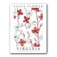 thumbnail image 1 of American Dogwood, The State Flower of Virginia, Poster Print, Wall Décor, 1 of 6