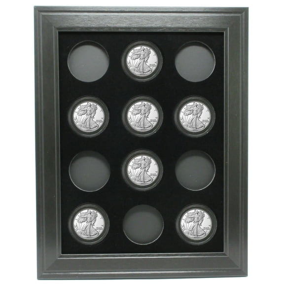 American Eagle Coins (Not Included) Wall Display Picture Frame Holds 12 Coins Made in the USA